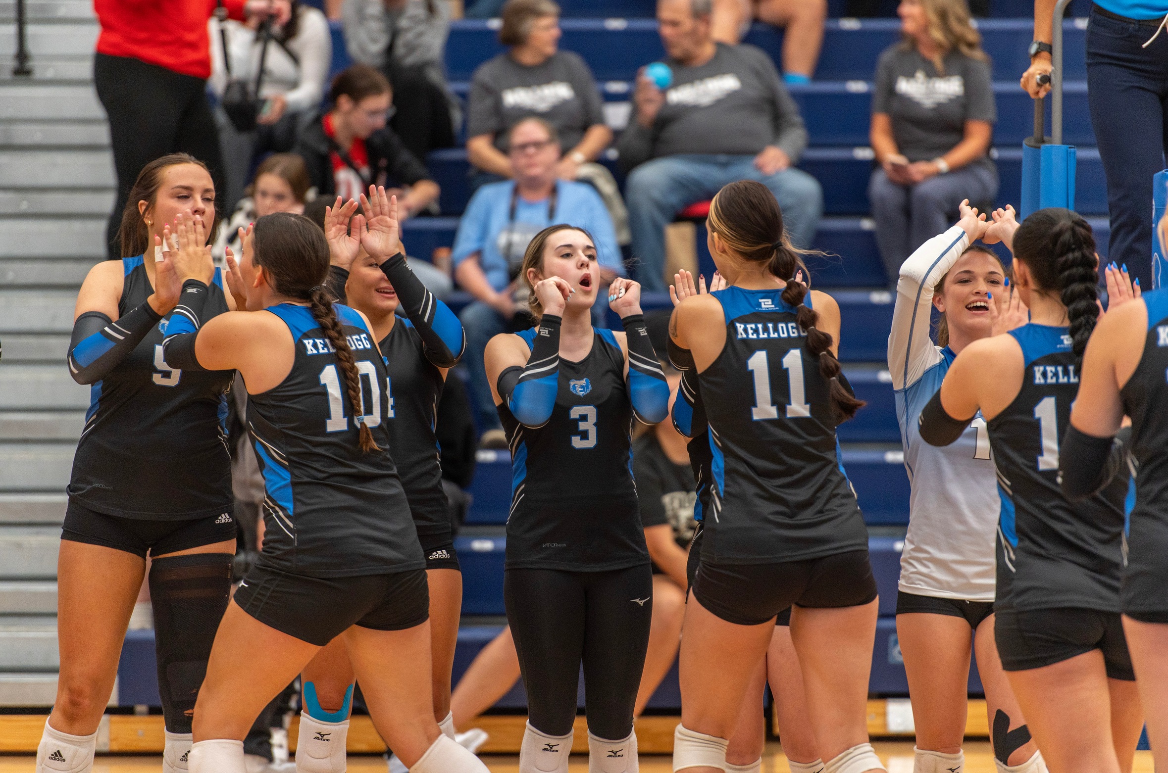 Volleyball Sweeps LMC