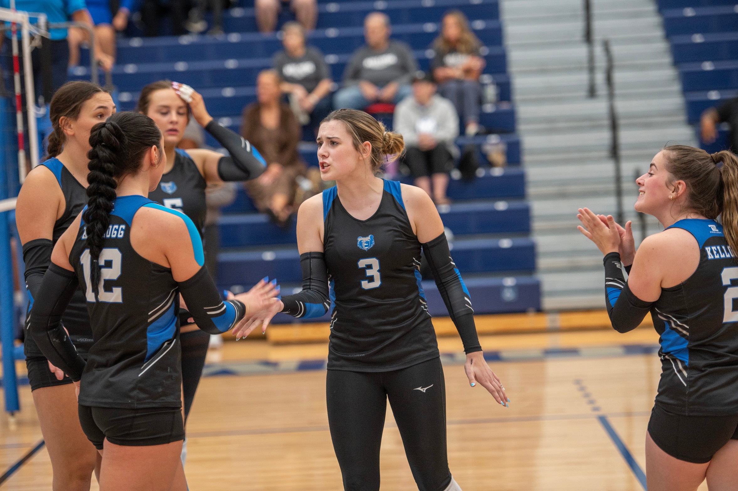 Volleyball Defeats LCC